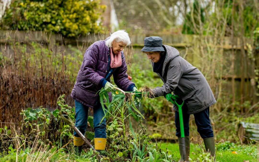 Staying Socially Active While Maintaining Independence